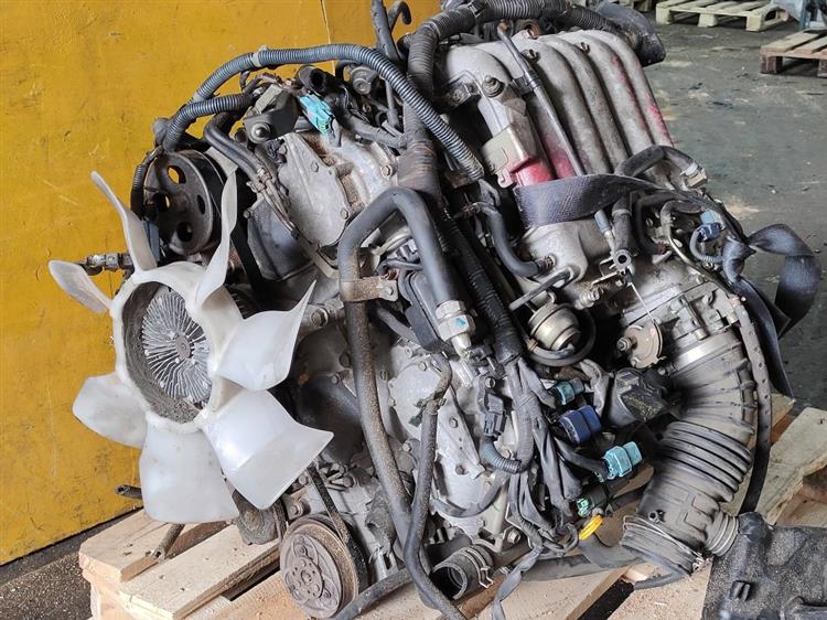 Двигатель Ниссан Эльгранд в Ангарске 51254